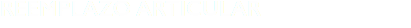 REEMPLAZO ARTICULAR